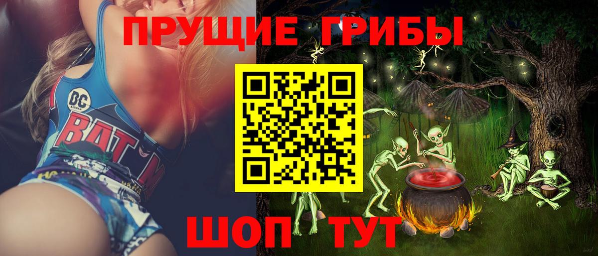 Гагарин  купить наркотики цена  Вход с VPN  Псилоцибиновые грибы Cubensis  Псилоцибиновые грибы мицелий 